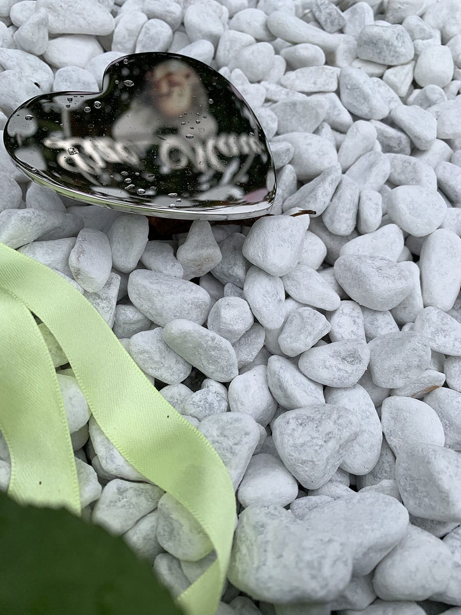 spiegel hartje op babygraf