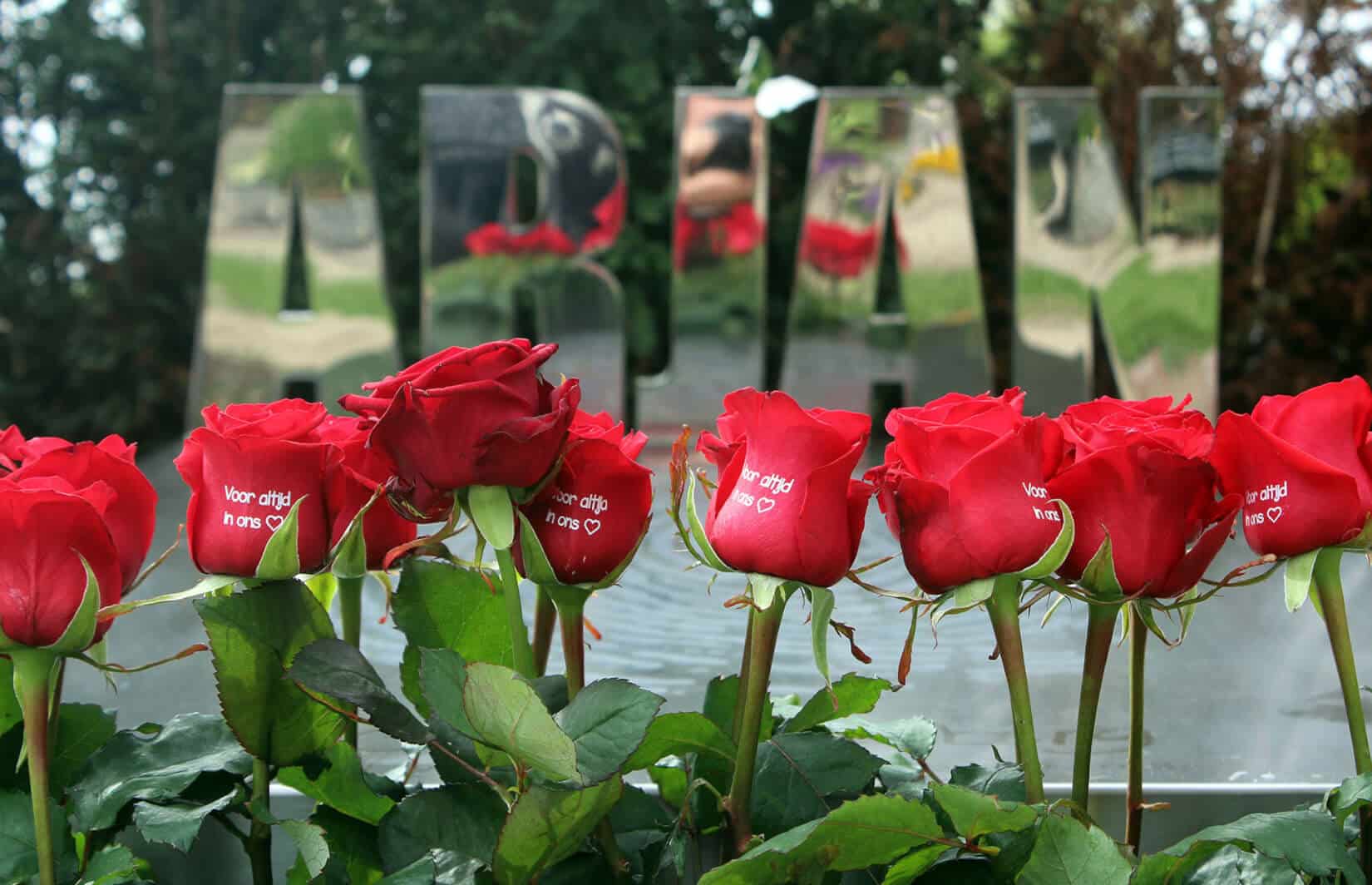 rode rozen op modern grafmonument