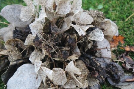 Duurzame grafmonumenten