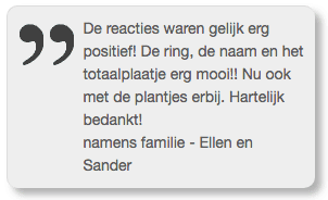 grafmonument van rvs mobieus