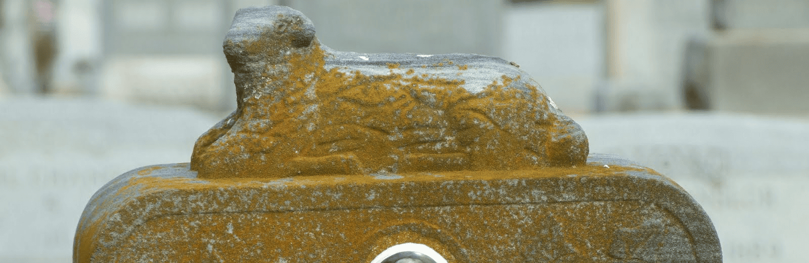 Groene aanslag grafsteen verwijderen