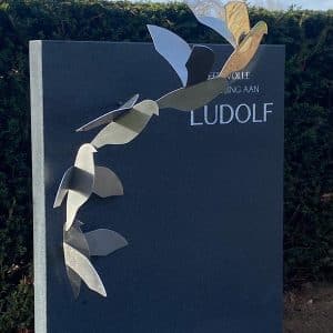 RVS vogelvlucht van dichtbij