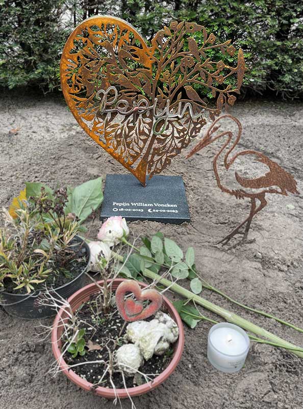 hartje babygraf vlinderkindje