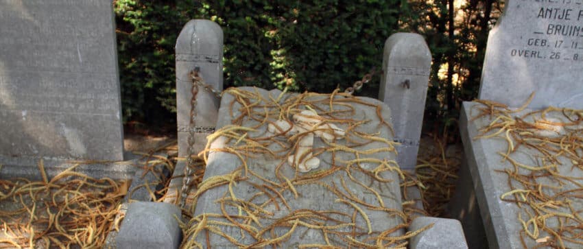 oude grafsteen
