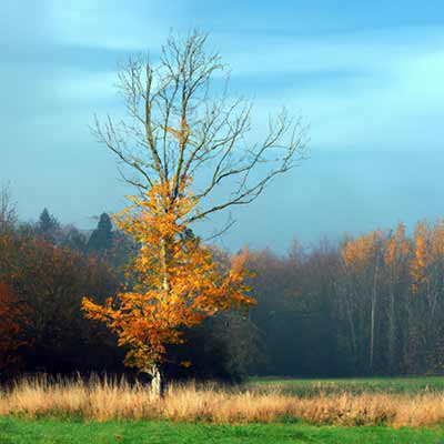 verlies en rouw sfeerbeeld
